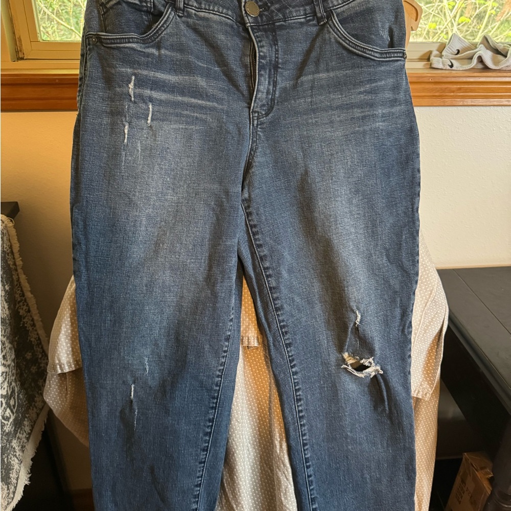 Wit & Wisdom Denim